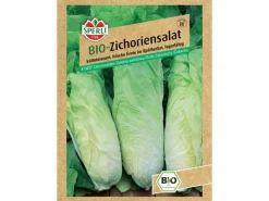 Best Bio Zichoriensalat Töpfe