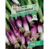 Sale Lauchzwiebel "Red Toga" (Allium fistulosum) Kühlschränke