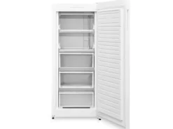 Best Gefrierschrank 175 Liter Tiefkühlschrank Gefrieren 4 Sterne F-GS-145-E-W Gefrierschränke
