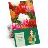 Töpfe<Tulipa Ballroom Queen Mischung 20 Stück Tulipa double early Ballroom Queen
