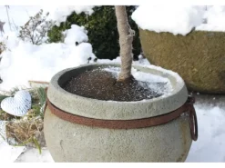 Clearance Videx Garden Kokosscheibe Ø 25 cm Dunkelbraun