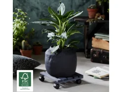 Discount Wagner design yourself Wagner Multi Roller Nature Tragkraft 100 kg 290 mm x 290 mm Anthrazit FSC®
