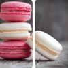 Clearance Wenko Herdabdeckplatten Universal Macarons 2er Set Mehrfarbig