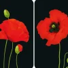 Best Herdabdeckplatten Universal Mohn 2er Set Mehrfarbig Herdabdeckungen|Pfannen